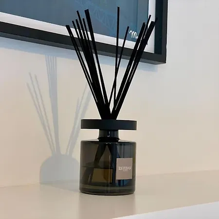 公寓 Superbe T2 - Centre-ville - Gare 圖盧茲