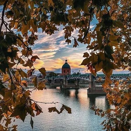 Superbe T2 - Centre-ville - Gare 公寓