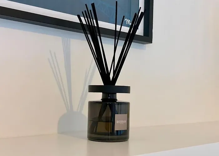 Apartamento Superbe T2 - Centre-ville - Gare Toulouse