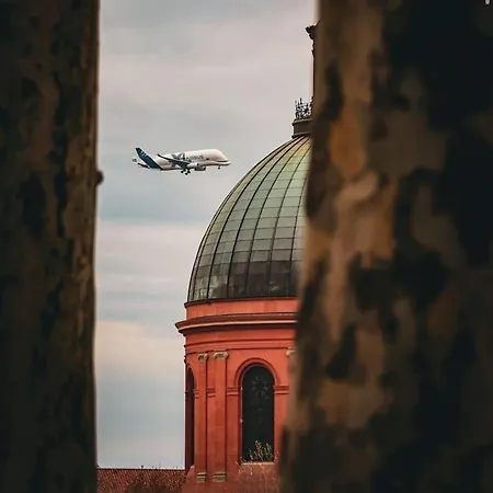 Superbe T2 - Centre-ville - Gare Apartment Toulouse